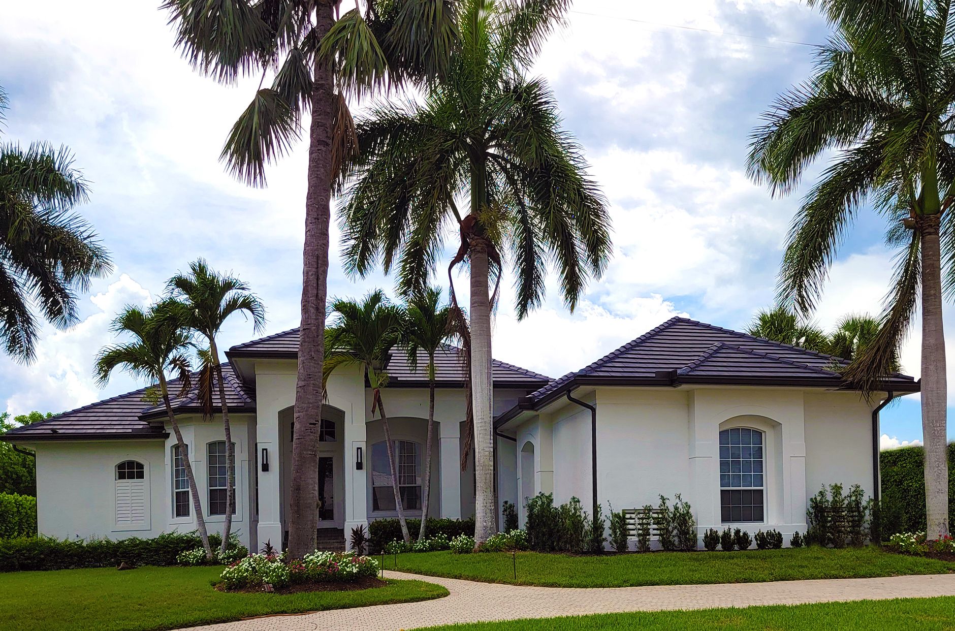 White residential house surrounded by lush palm trees in a tropical setting.