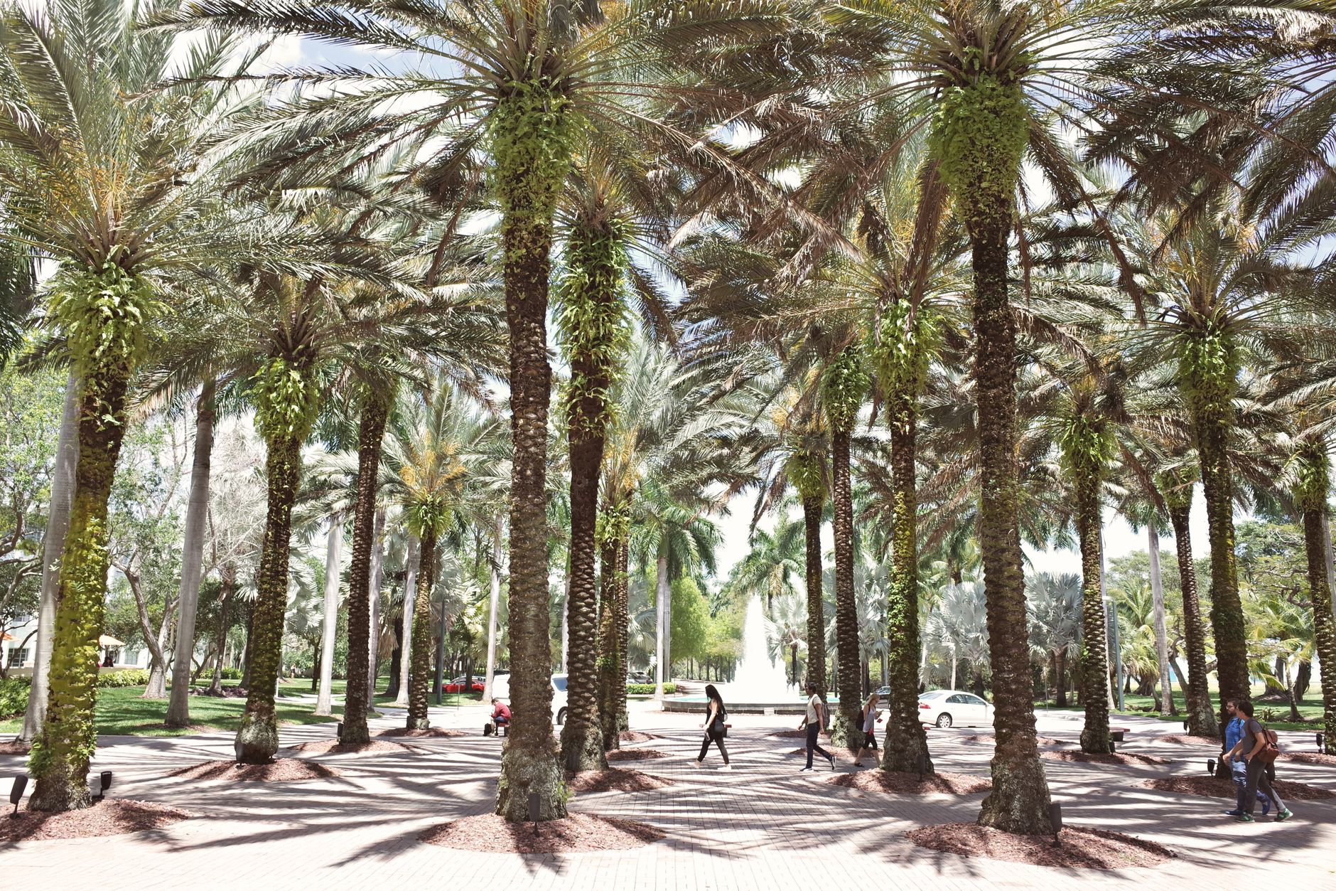 Wellington, Florida private money lending market